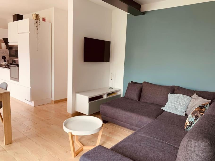 Maison En Plein Centre Avec Terrasse Et Jardin Vielsalm Luaran gambar